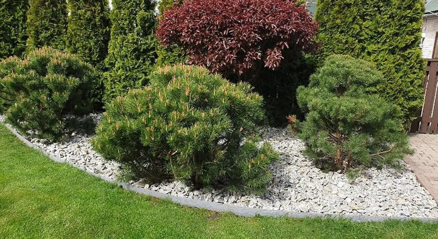 Senoji Palanga Garten
