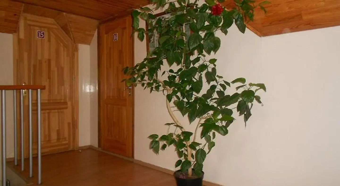 Rugelis LOUNGE_LOBBY