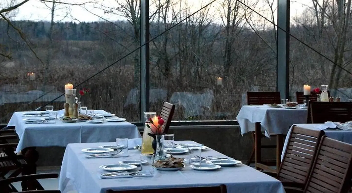 Paliesiaus Dvaras Terrasse