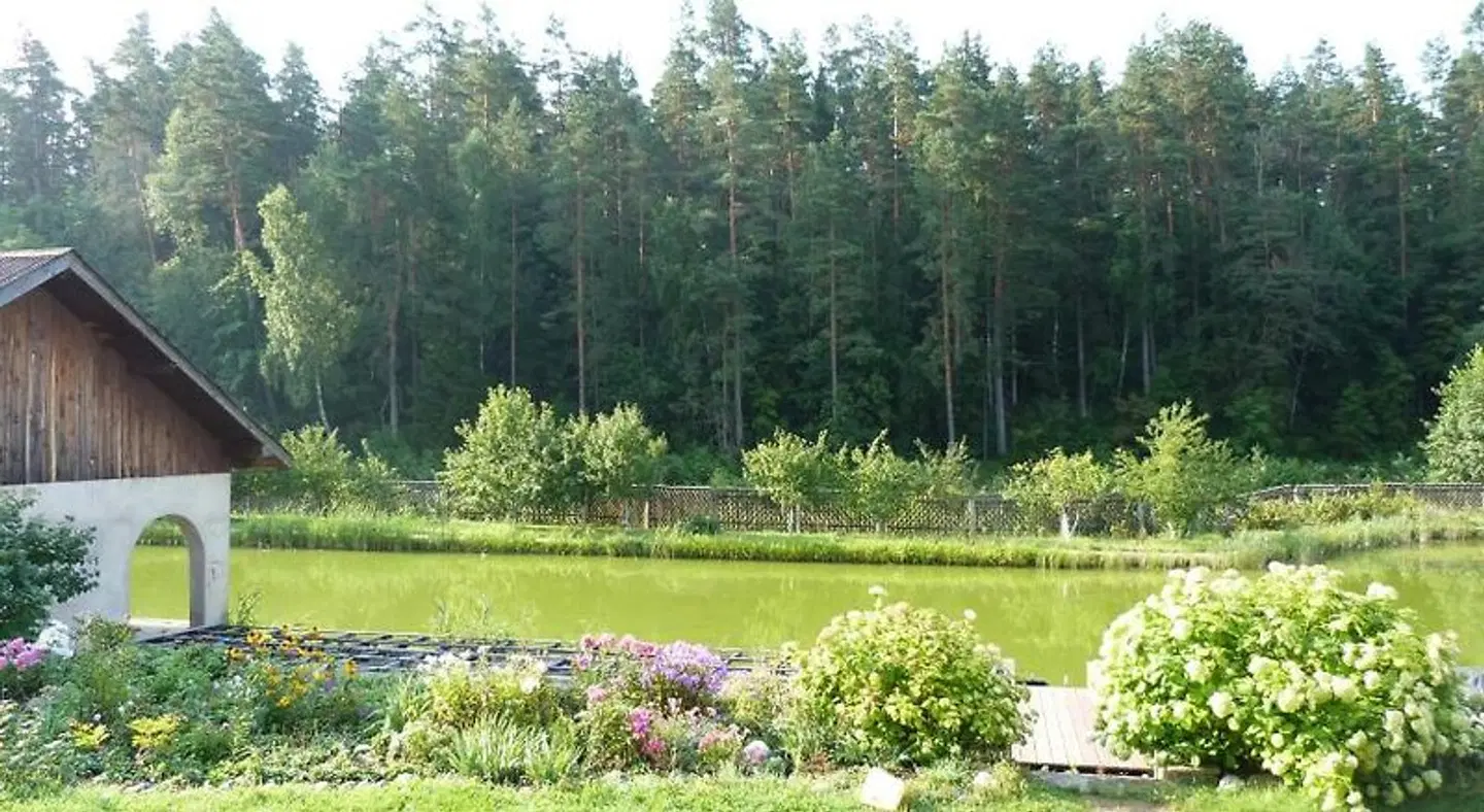 Forest B&B Garten