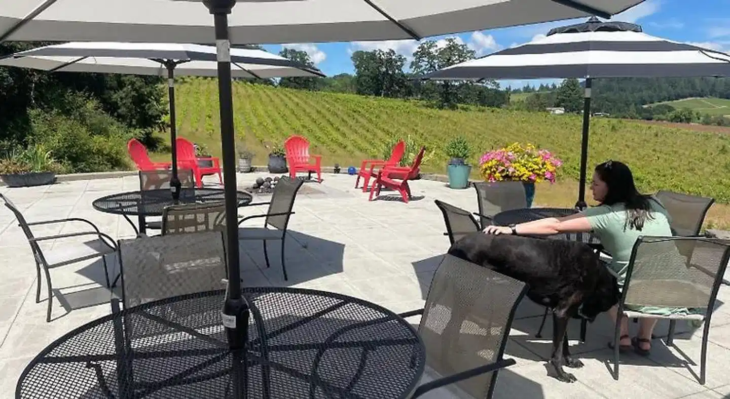 The Gaard House Terrasse