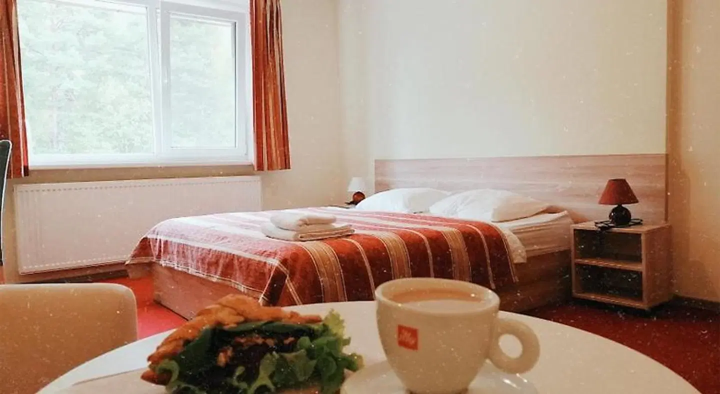 Idile Bed & Breakfast - Visaginas ROOM_EXAMPLE