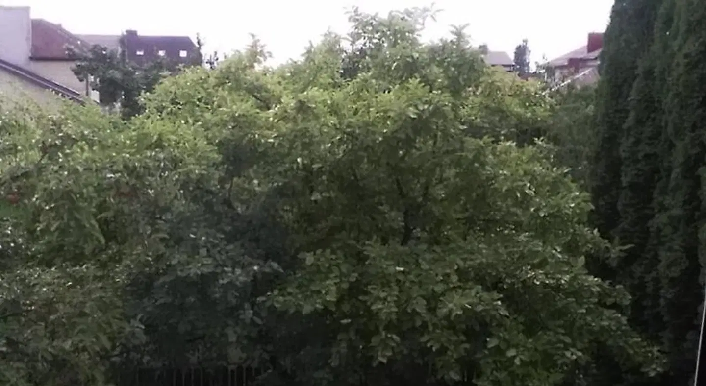 Ginto nakvynes namai LANDSCAPE