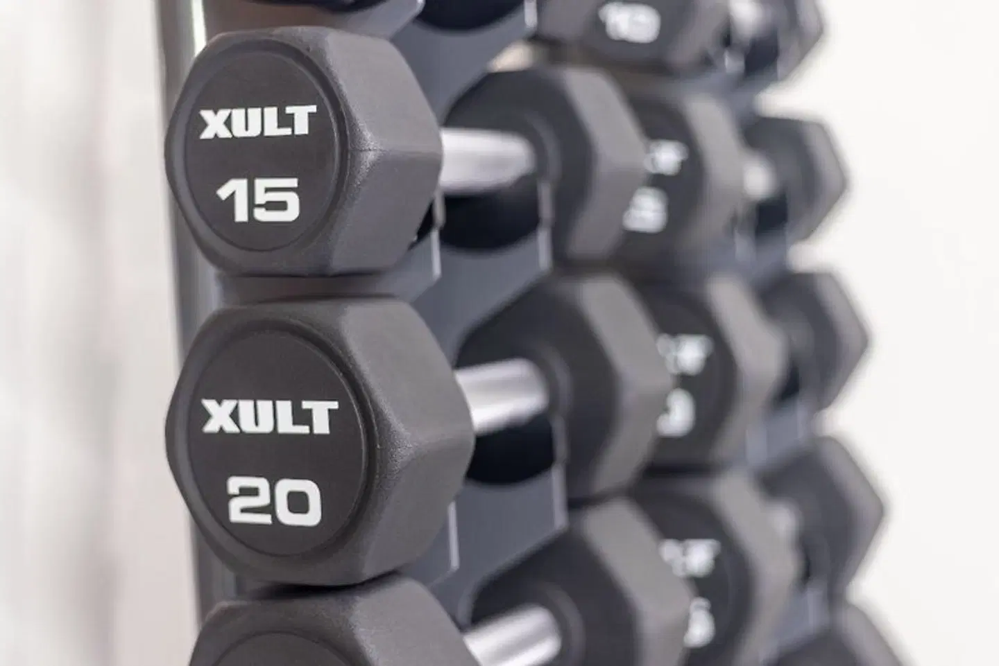 Holiday Inn Express & Suites Tampa - I-75 @ Bruce B. Downs by IHG SPORTS_AND_LEISURE