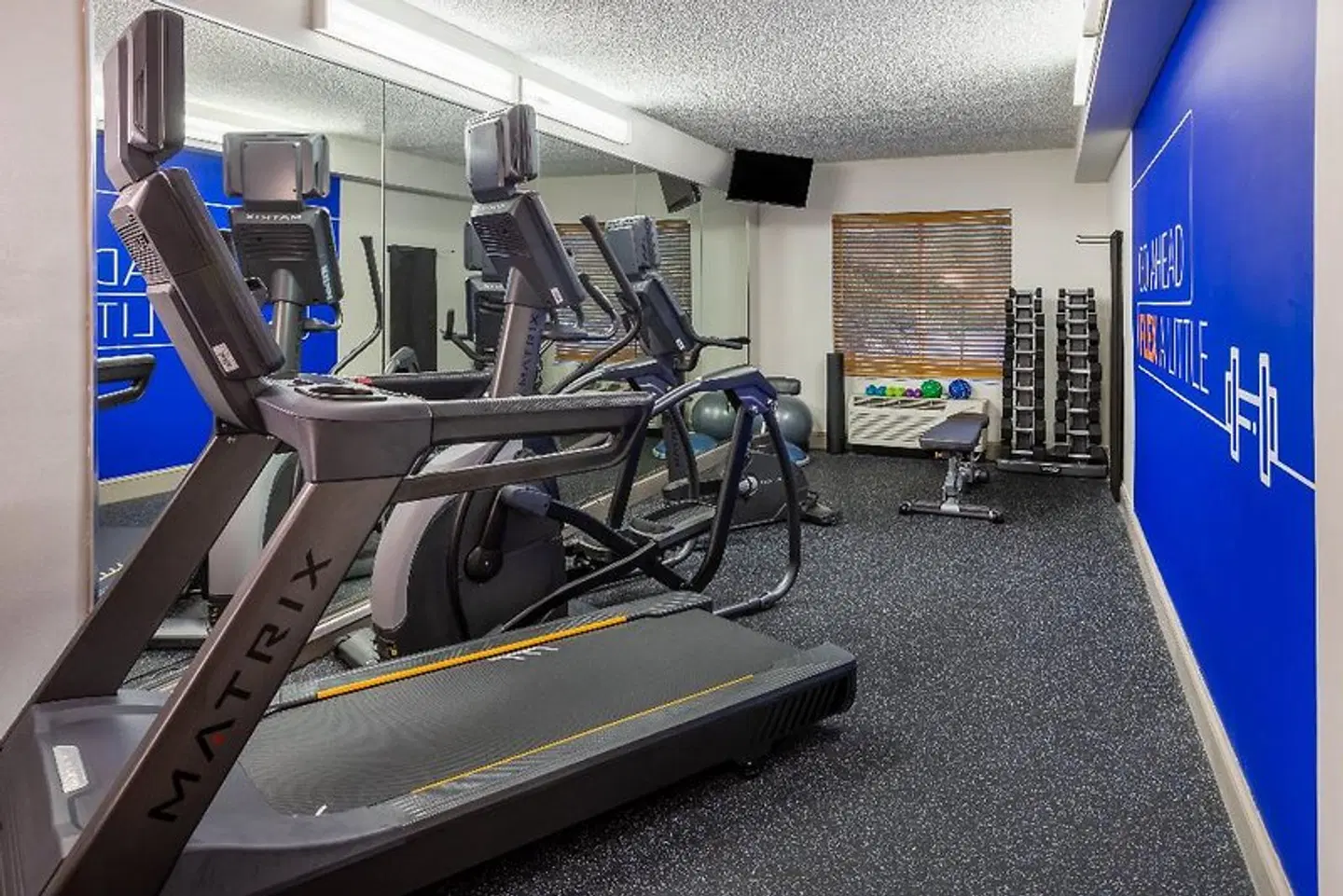 Holiday Inn Express & Suites Tampa - I-75 @ Bruce B. Downs by IHG SPORTS_AND_LEISURE