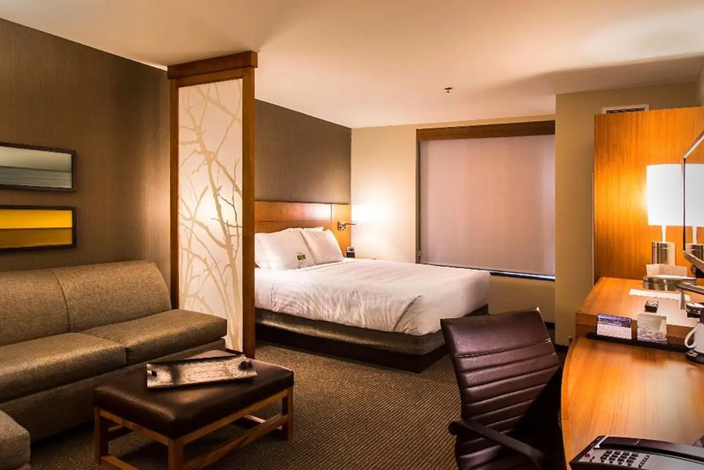 Hyatt Place Charlottesville ROOM_EXAMPLE