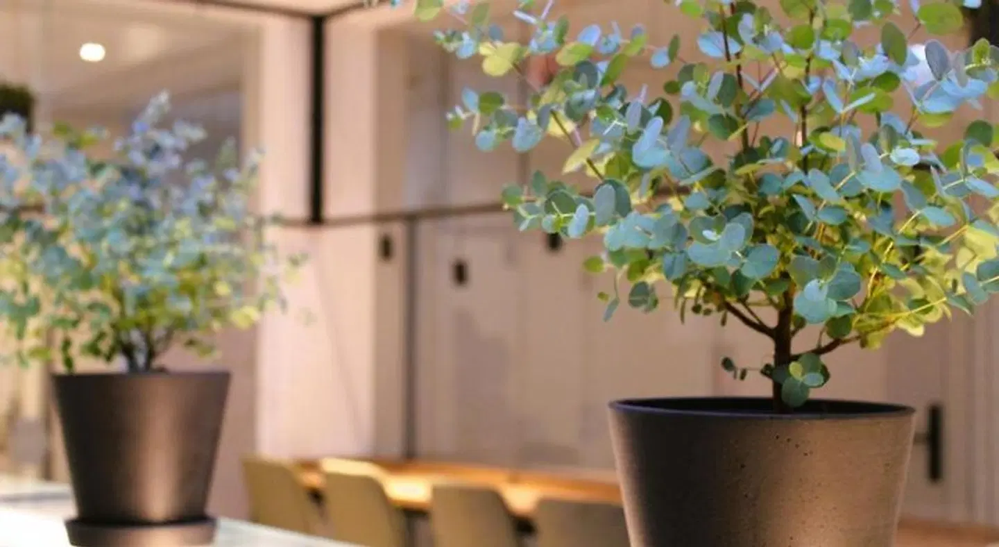 BEE GREEN Linz Self-Check-in-Hotel LOUNGE_LOBBY