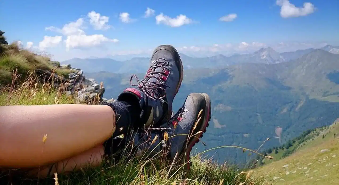 Relax- und Vitalhotel Adler Tiere