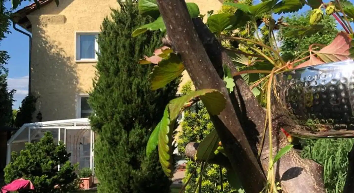 Haus Bielke Landschaft