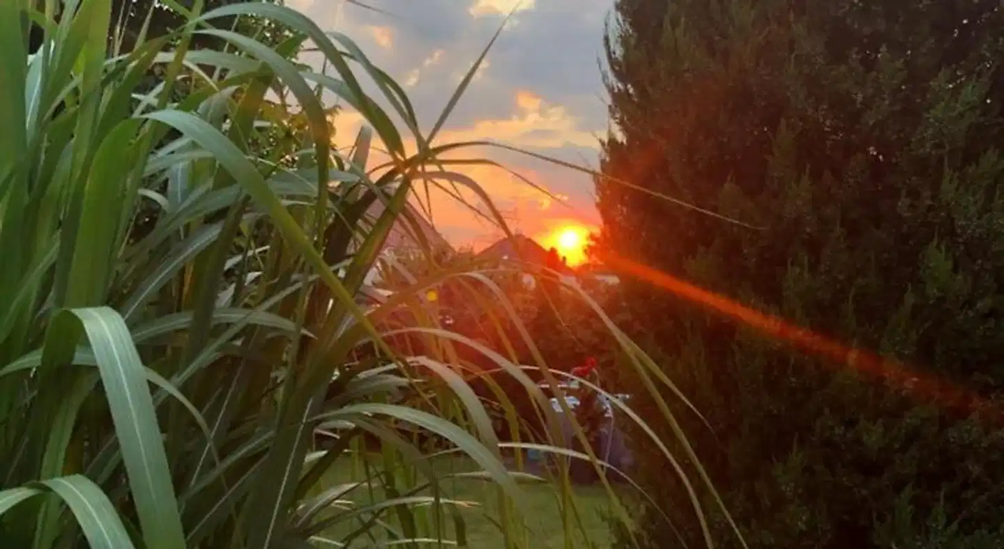 Haus Bielke Terrasse