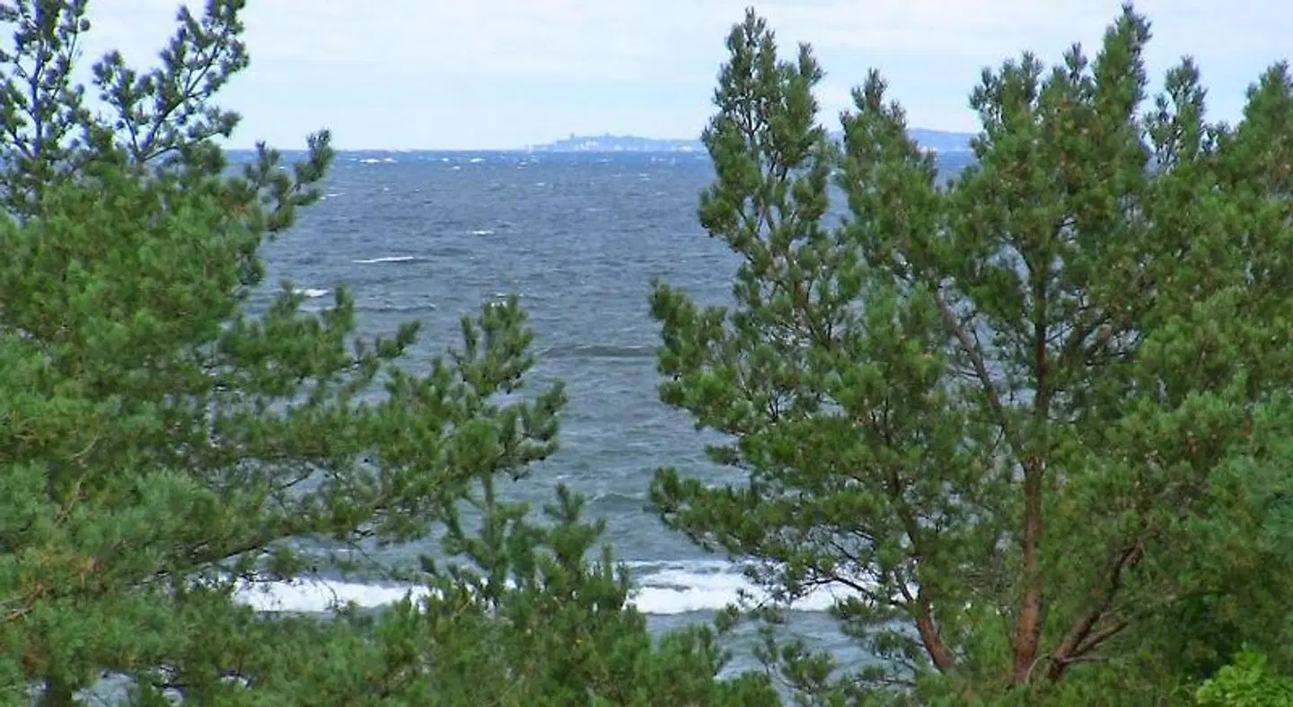 Vineta Hotels LANDSCAPE