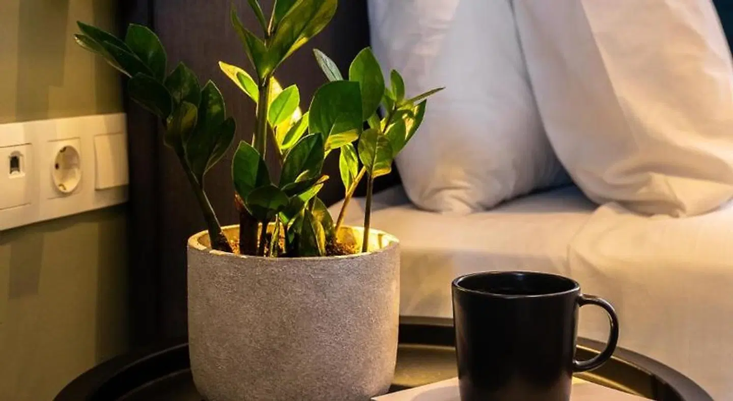 PAME Paradiso HEALTH_BEAUTY