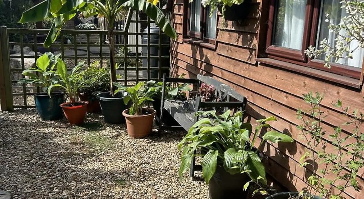 Woodpaddock Bed & Breakfast Terrasse
