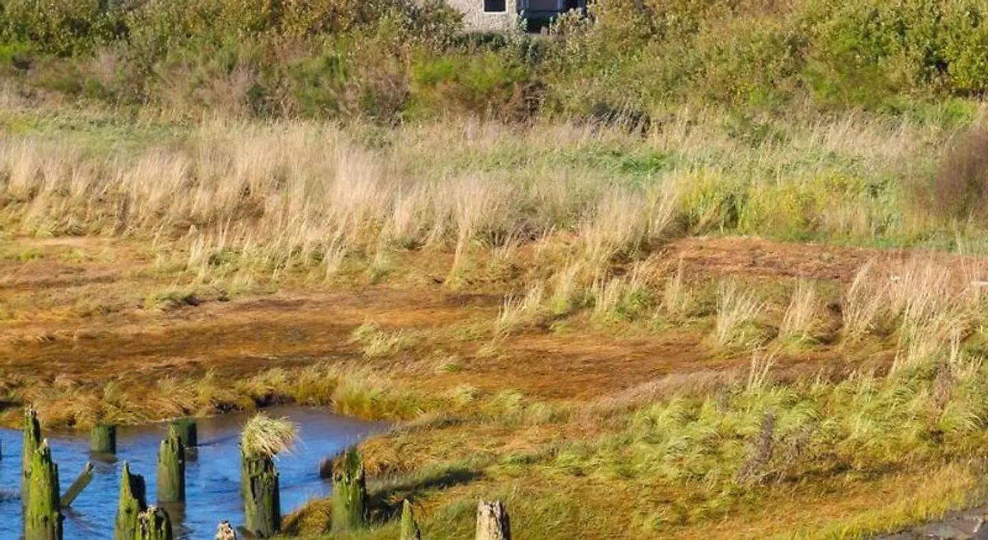 Best Western Astoria Bayfront Hotel LANDSCAPE