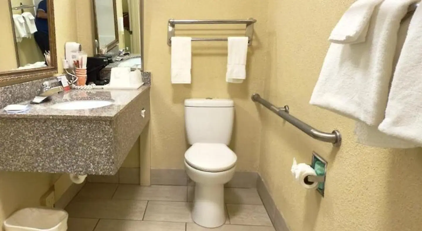 Econo Lodge Lenoir City Badezimmer