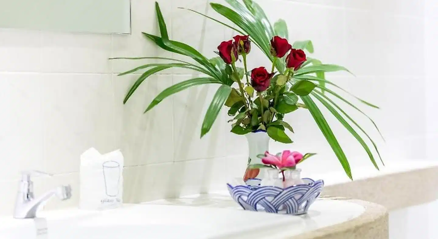 Crystal Bay Yacht Club Modellaufnahme