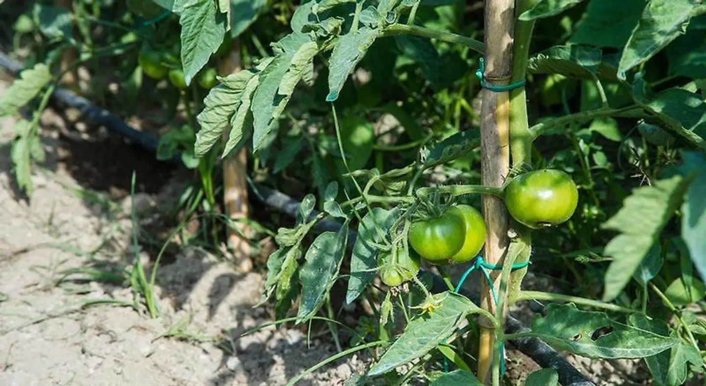 Hotel San Francesco Landschaft