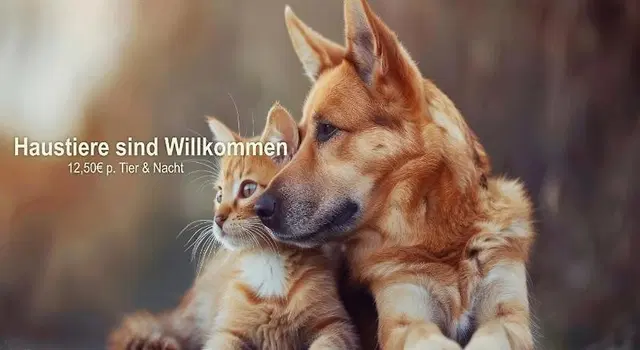 Freiberger Höhe Tiere