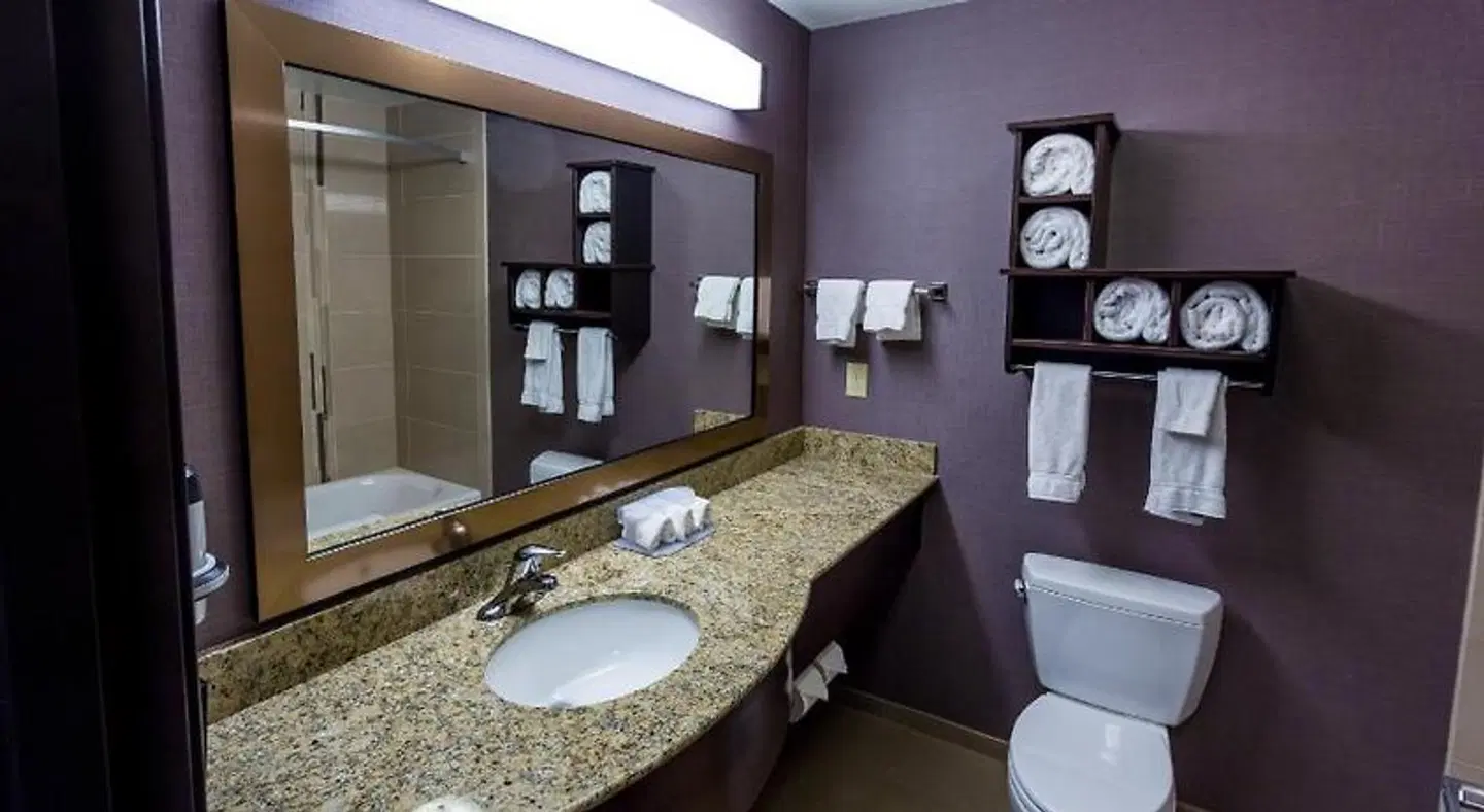 Holiday Inn Express & Suites Billings West Badezimmer