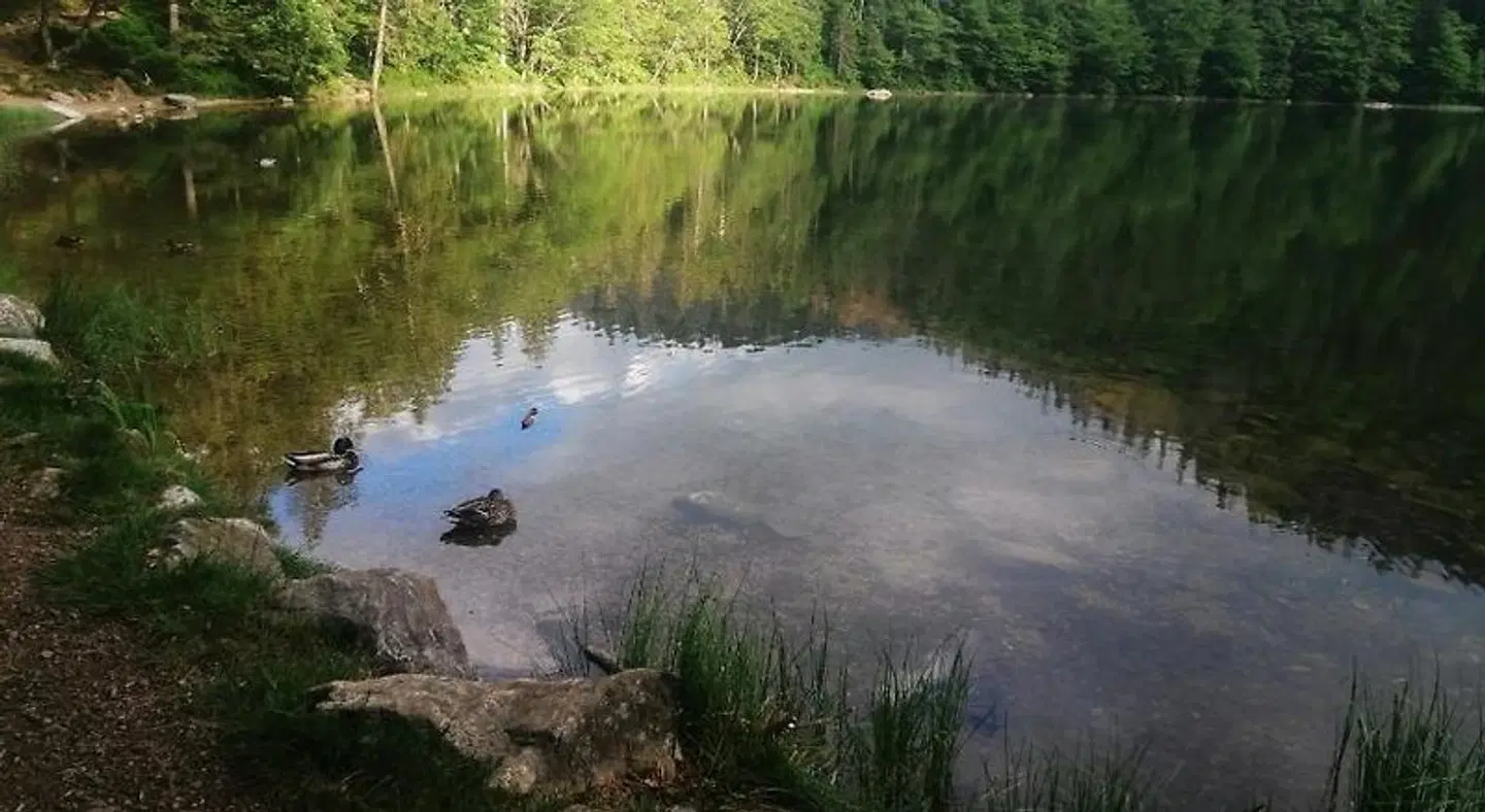 Am Kurpark LANDSCAPE