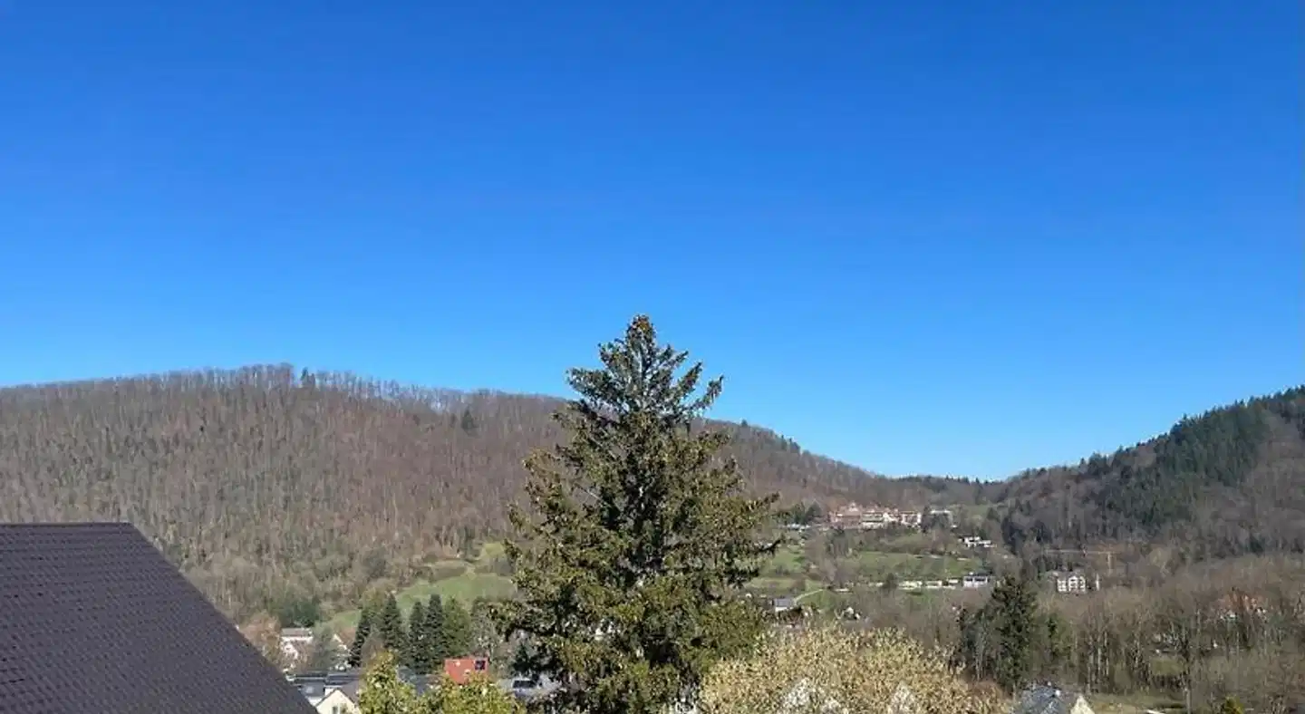 Markgräfler Hof Landschaft