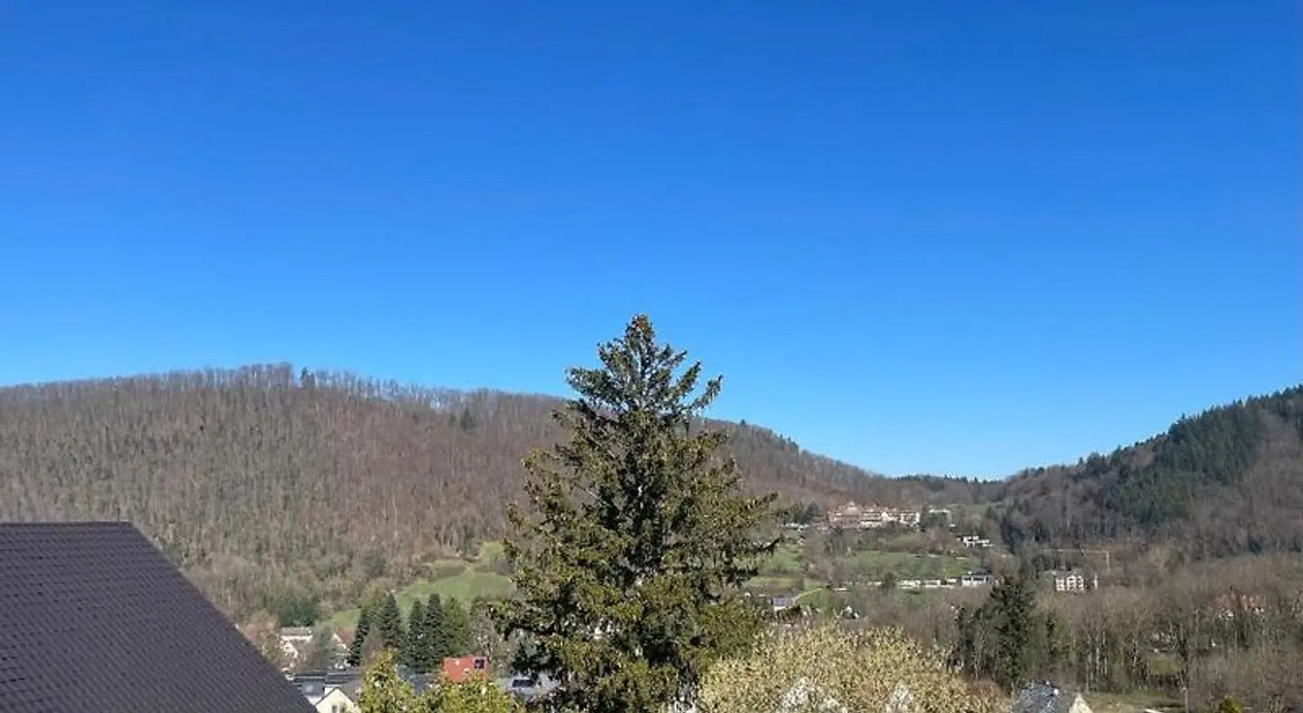 Markgräfler Hof LANDSCAPE