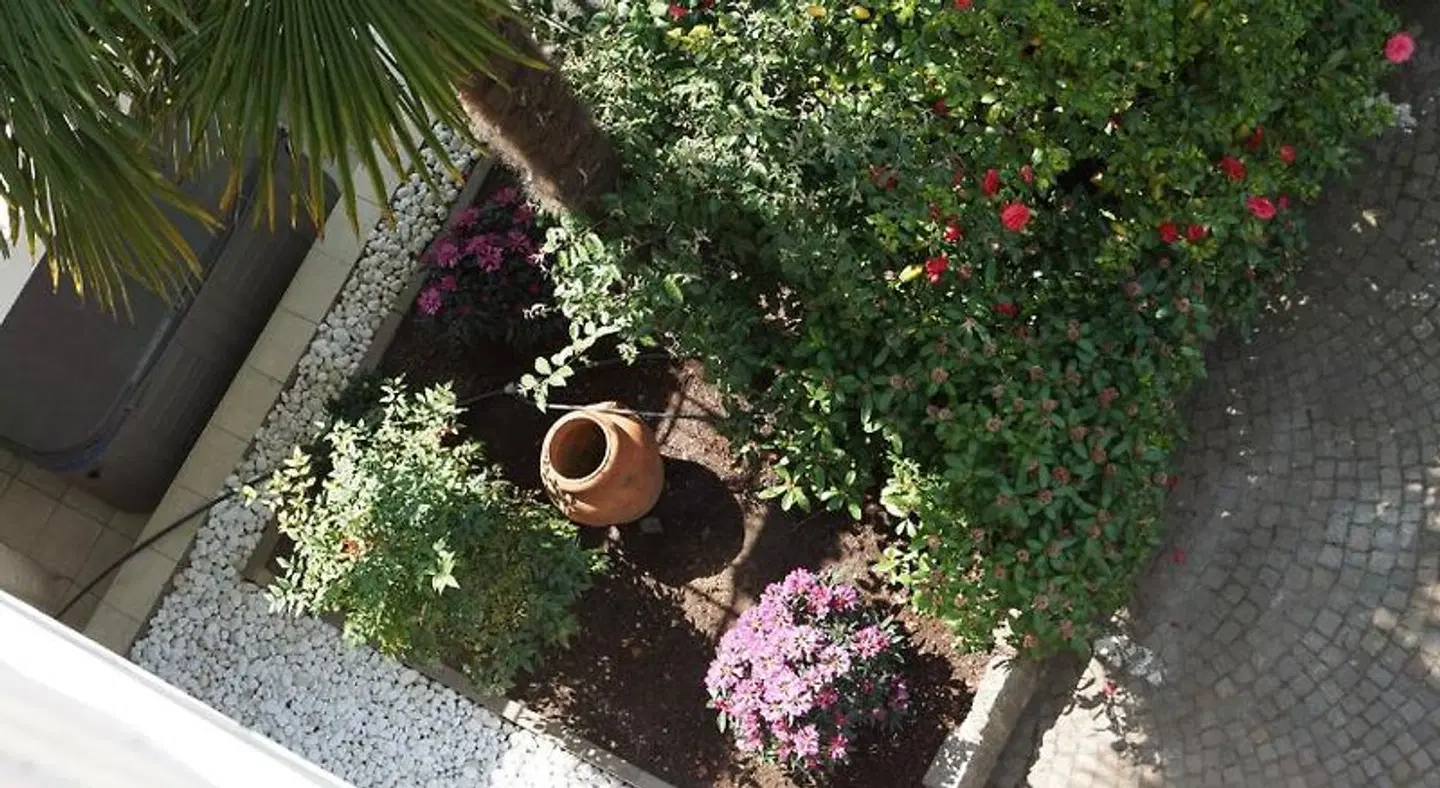 Zima Garten