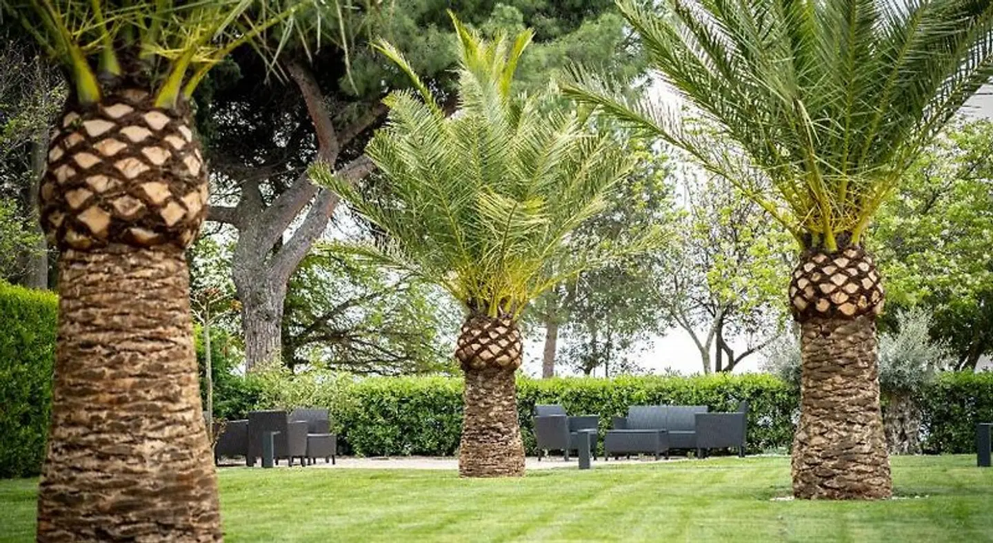 Hotel Villa Rosetta Garten
