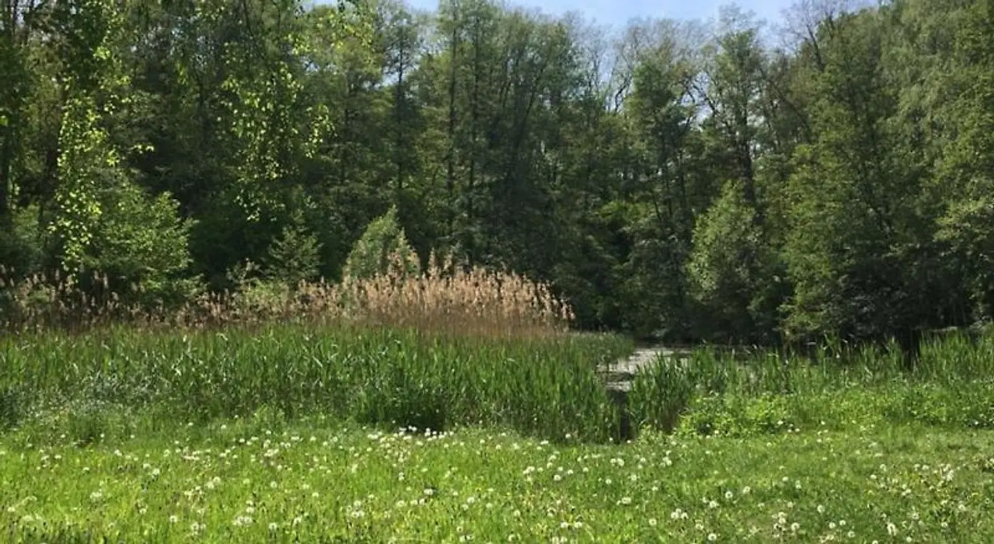 Prinz Albrecht Garten