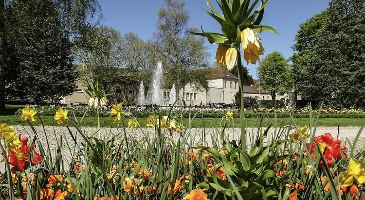 ibis budget Nuits Saint Georges Garten