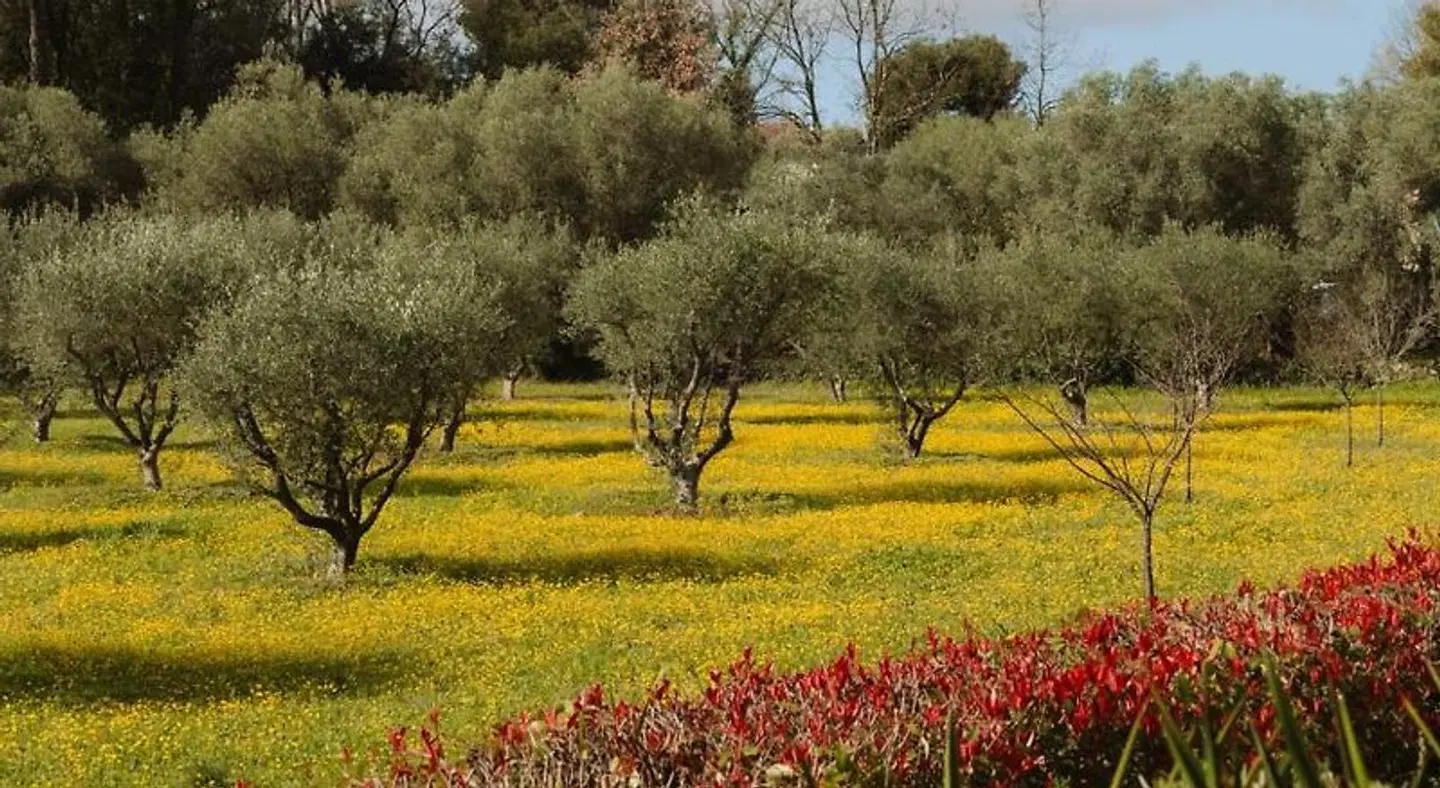 Les Messugues Garten