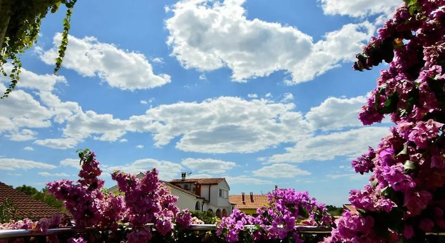 Gargamelo Pension Terrasse