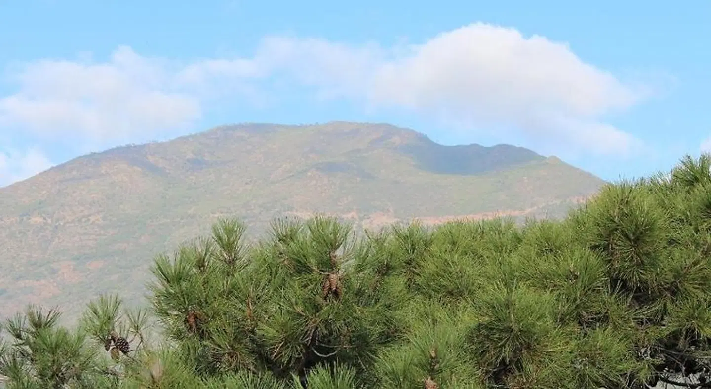 Rural Los Jarales LANDSCAPE