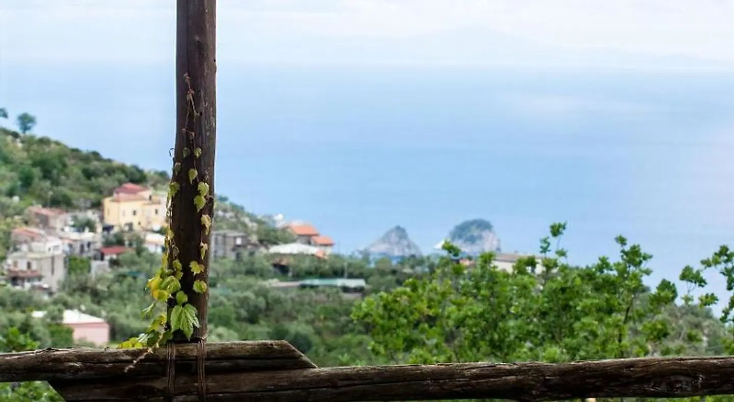 Agriturismo Fattoria Terranova Terrasse