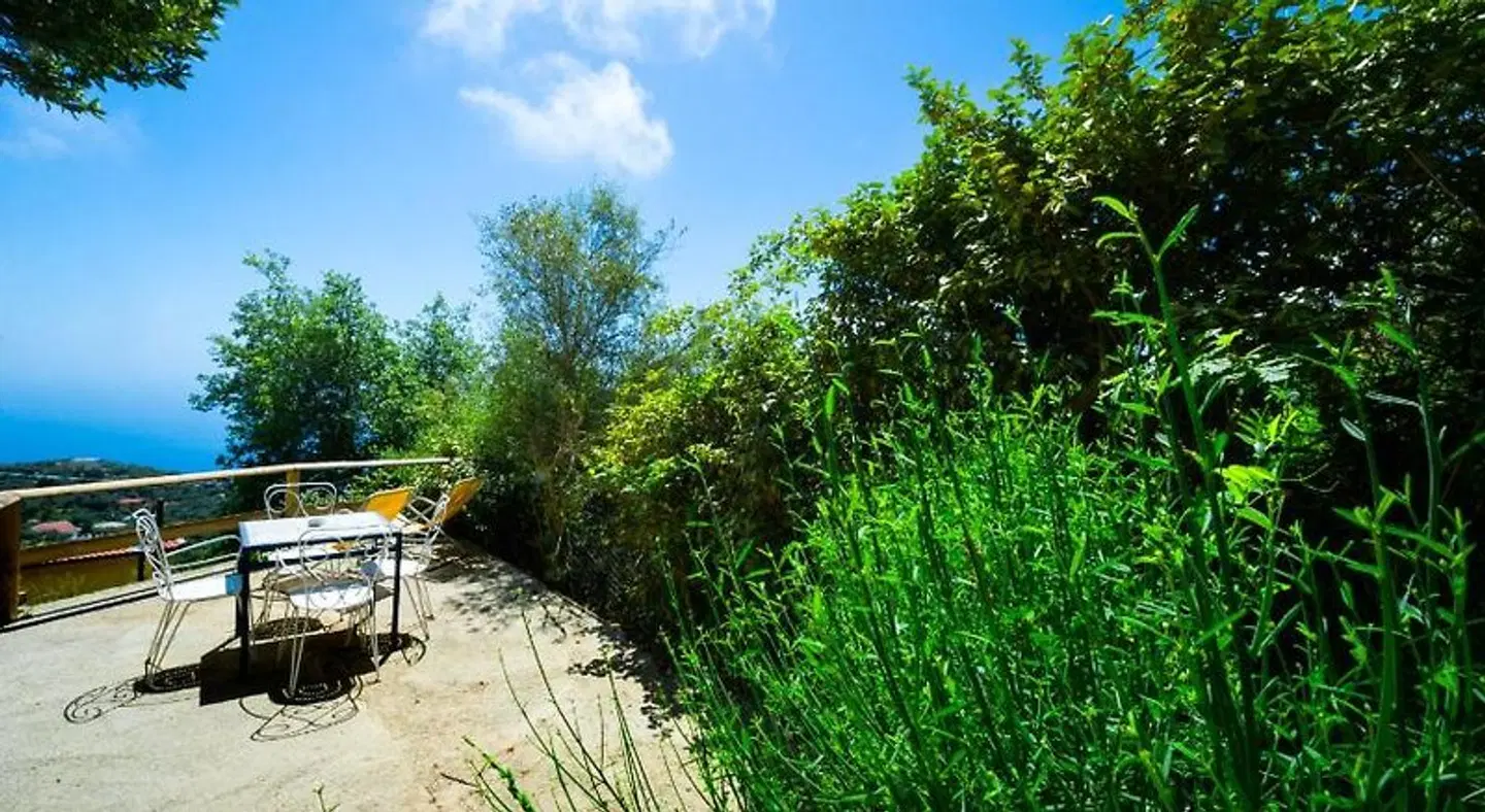 Agriturismo Fattoria Terranova LANDSCAPE