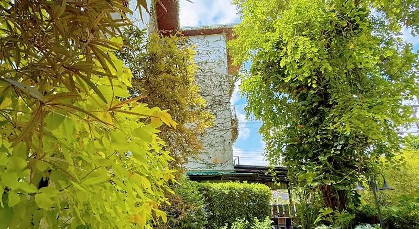 Ideo Phuket Hotel Garten