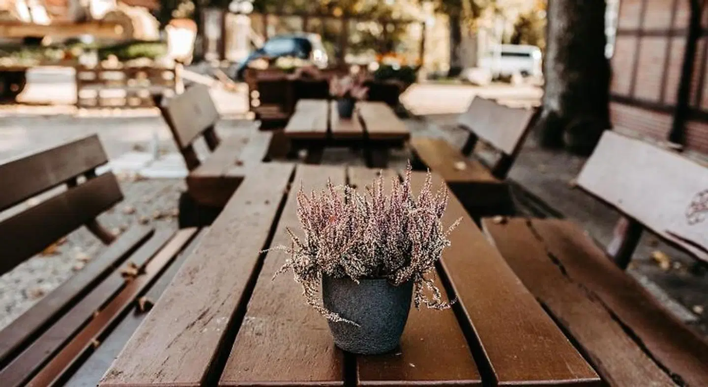 Zur grünen Eiche Terrasse