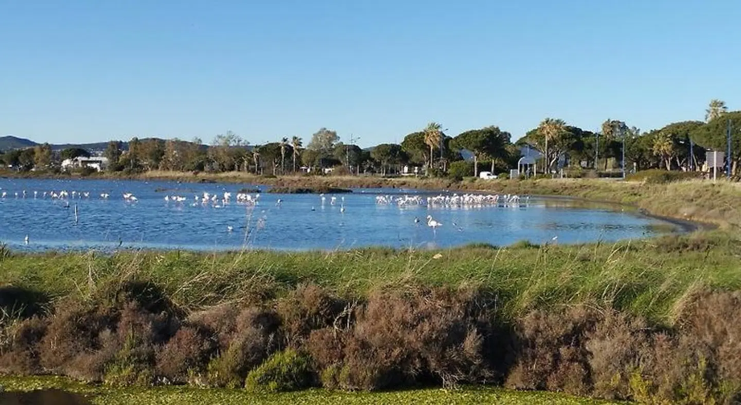 Le Surplage LANDSCAPE