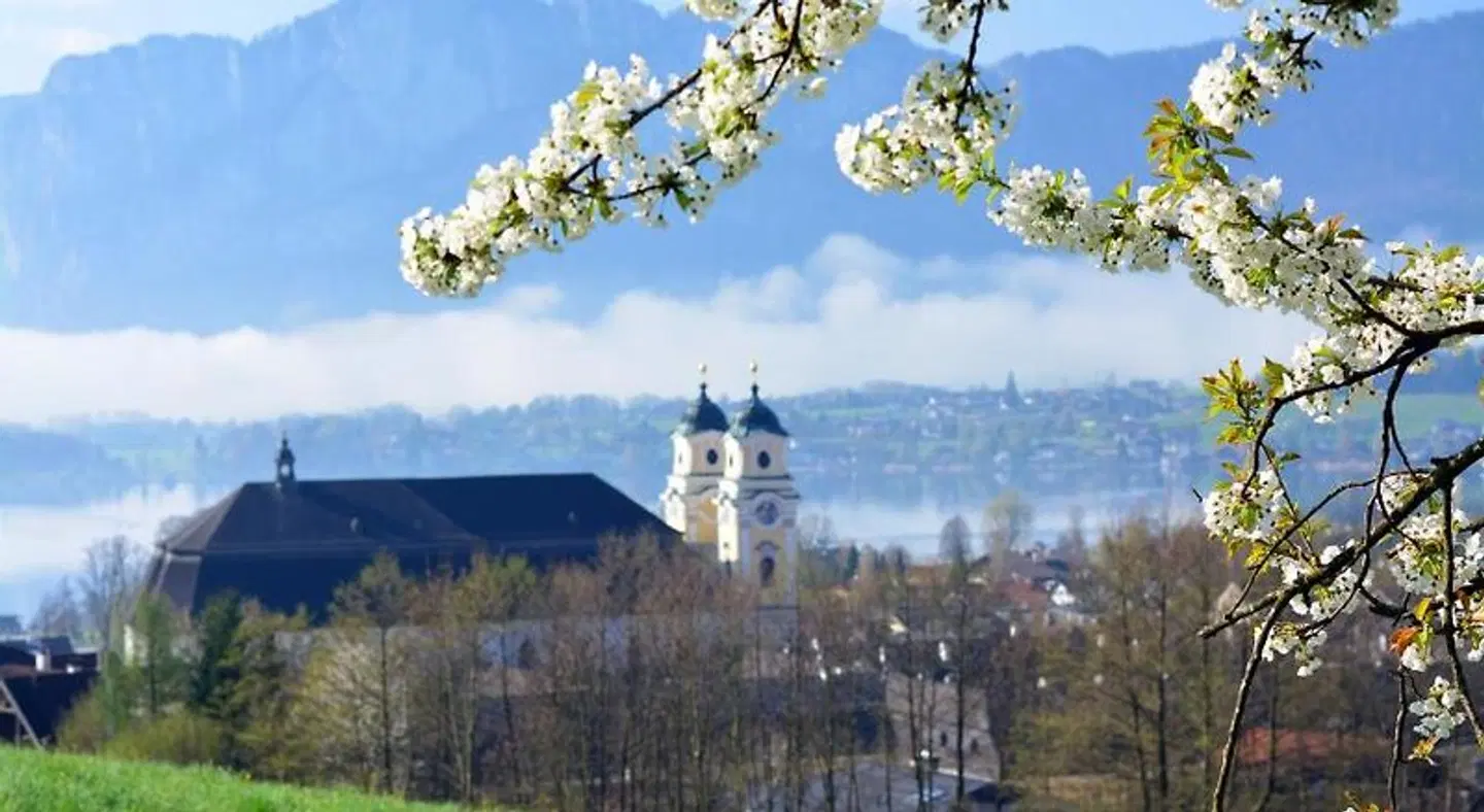 Hotel Krone LANDSCAPE