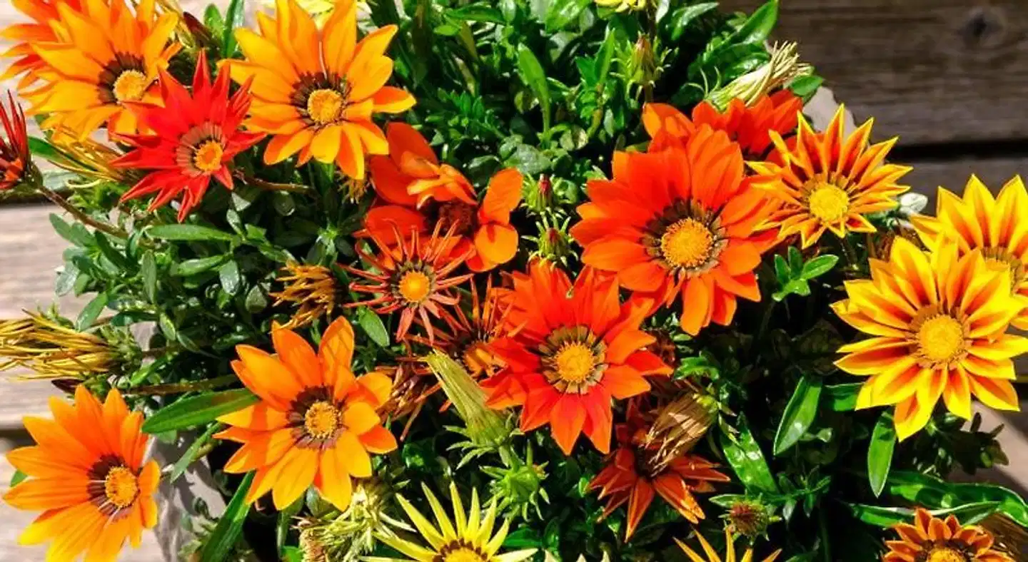 Petersboden Landschaft