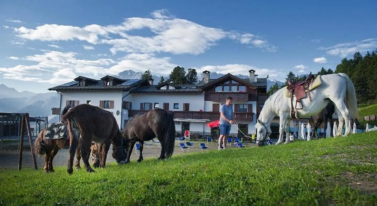 Hotel Gallo Cedrone Tiere