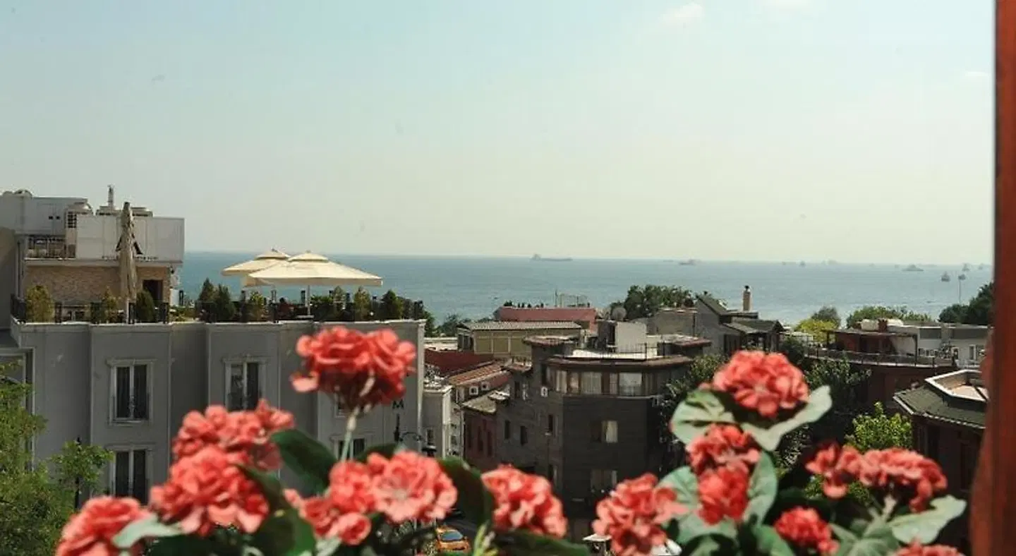 Hotel Coliseum LANDSCAPE