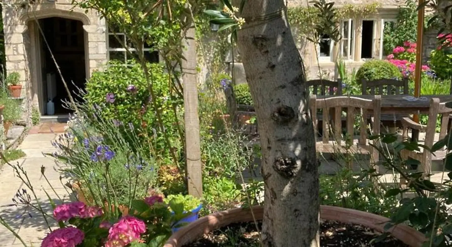 Maplestone Hall Garten