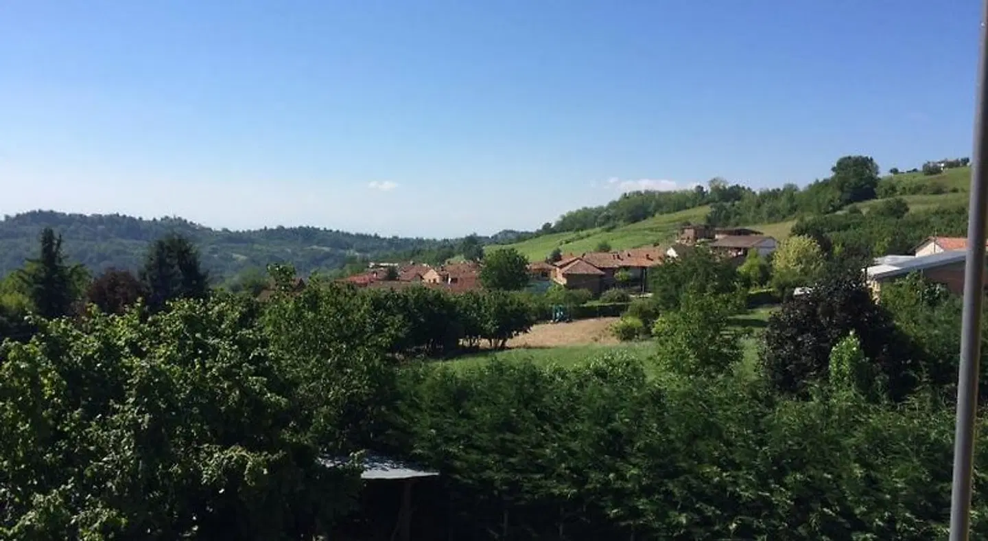 The Green Guest House LANDSCAPE