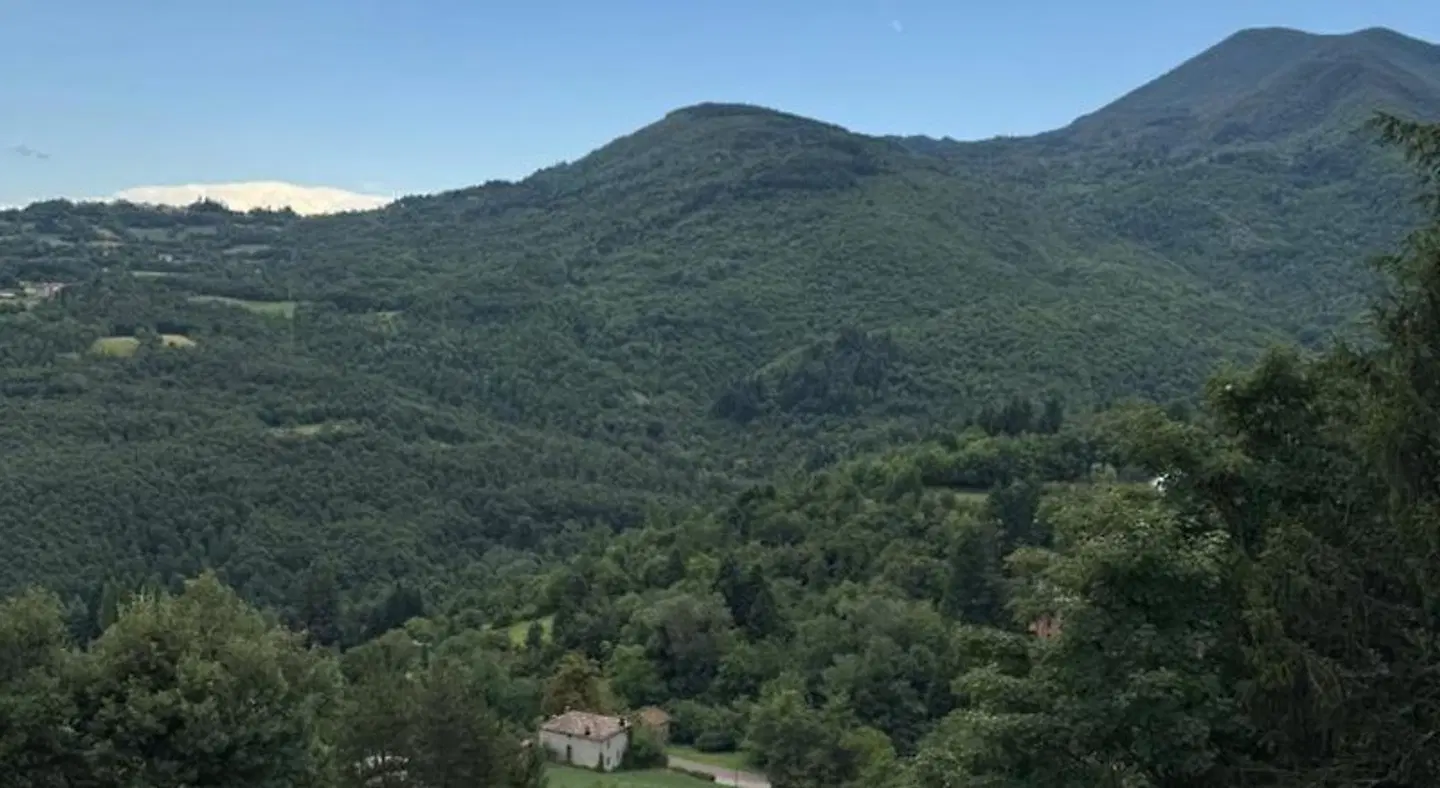 Il Fondaccio LANDSCAPE