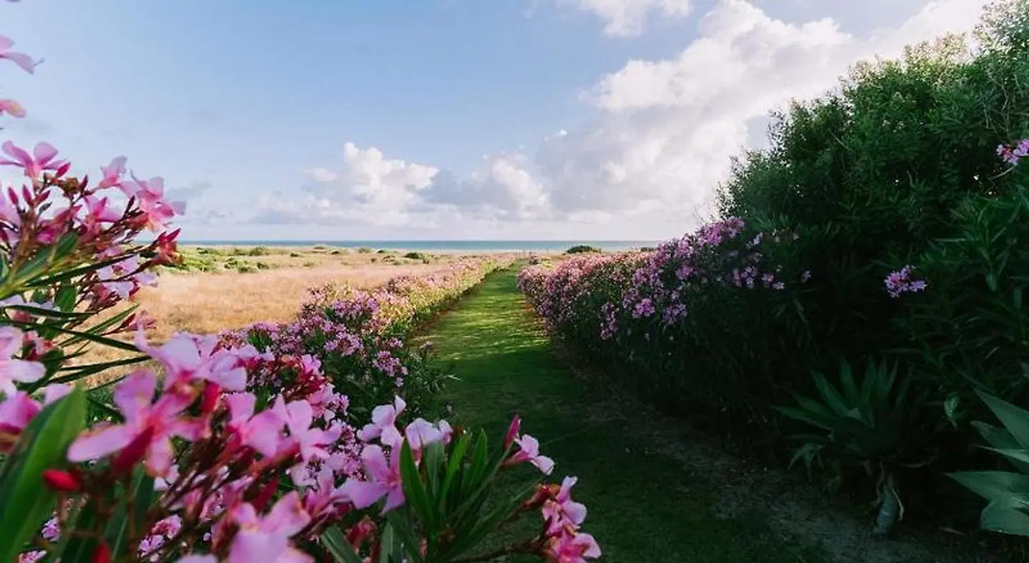 Trafalgar Polo Club LANDSCAPE