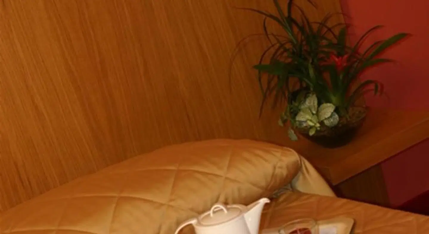 Anusca Palace Hotel ROOM_EXAMPLE