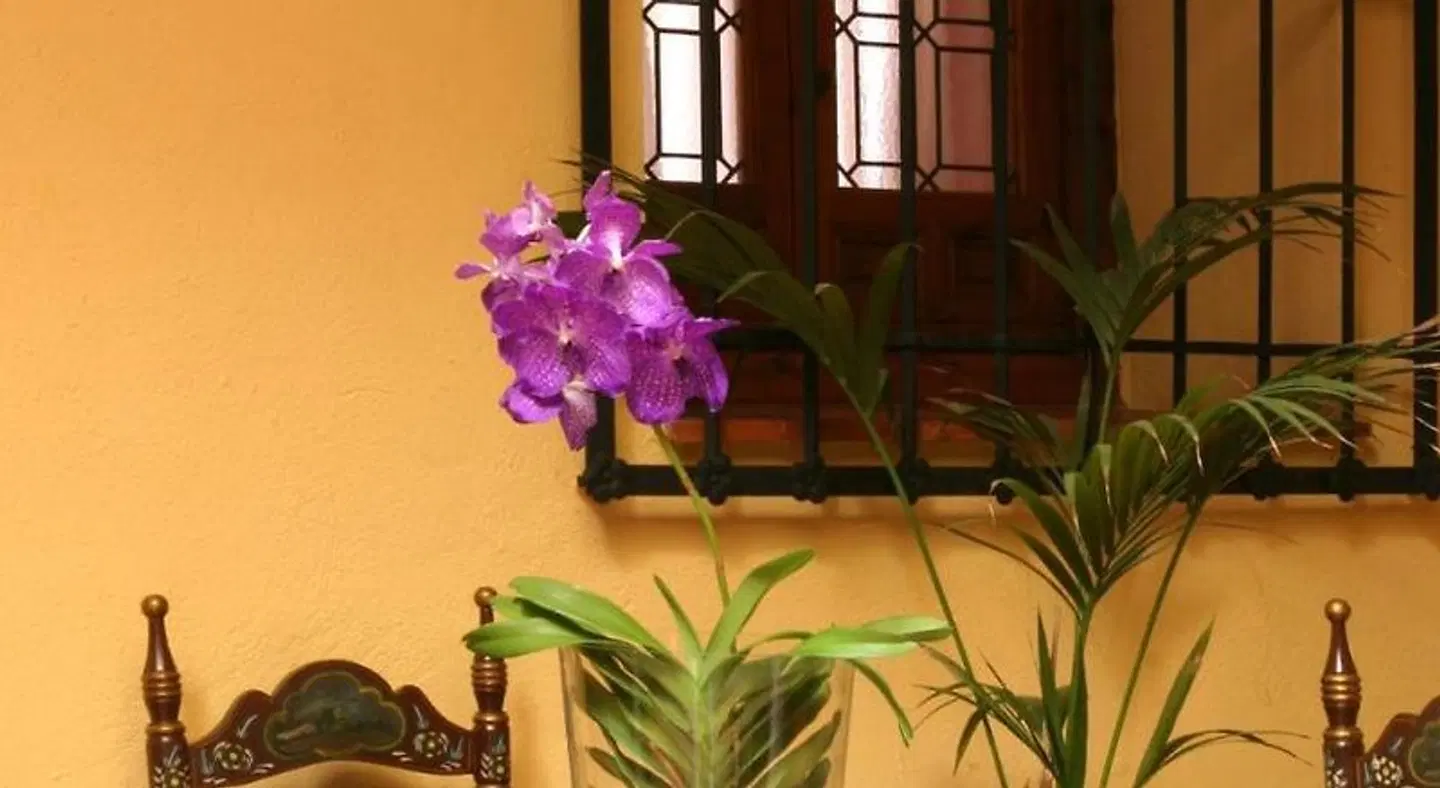 Almunia de San Miguel LOUNGE_LOBBY