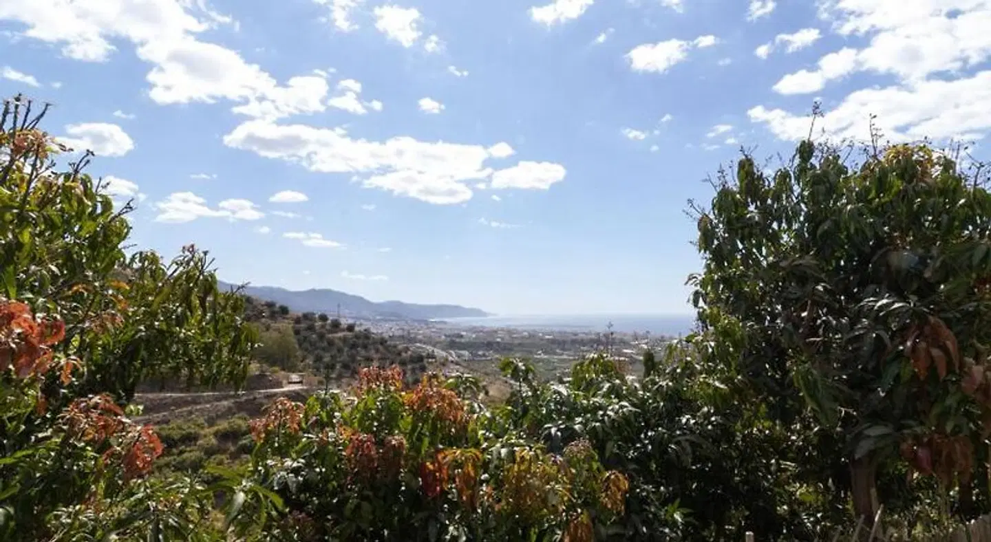 La Casa del Burro LANDSCAPE