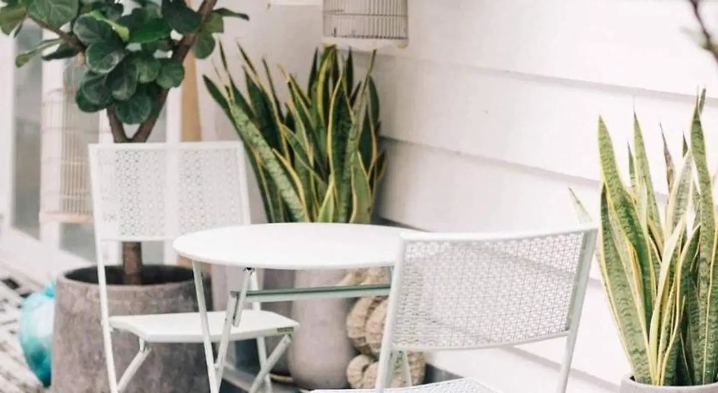 Lily's Hostel Badezimmer